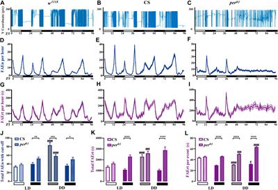 dFRAME: A Video Recording-Based Analytical Method for Studying Feeding Rhythm in Drosophila